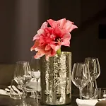 Garibaldi 52 - Renovated In Old Town *